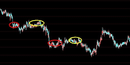 ���y�r��vʷ5��犹���