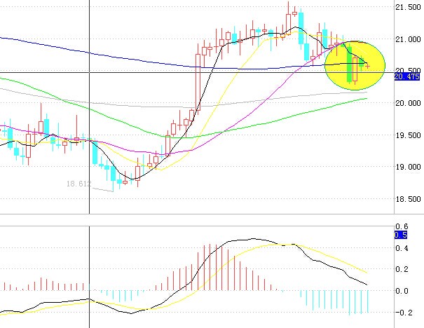 ���y�r���߄�