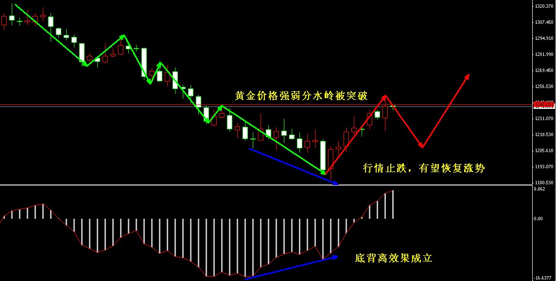 �S���r���߄݈D