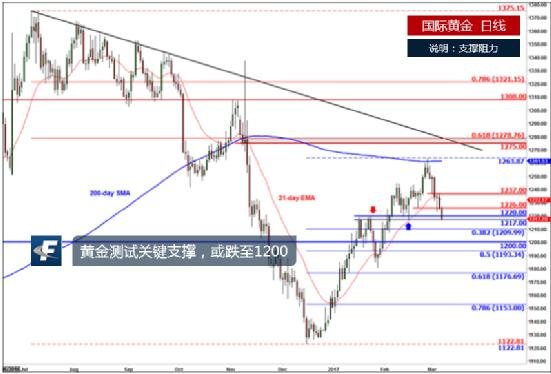 �S���g(sh��)��