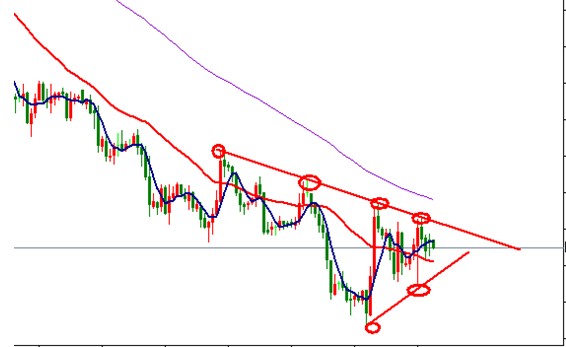 ���y̎������������