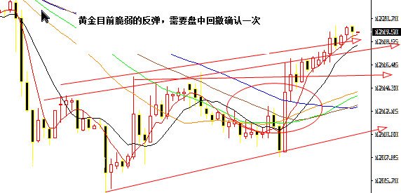 �S���߄�(sh��)�D